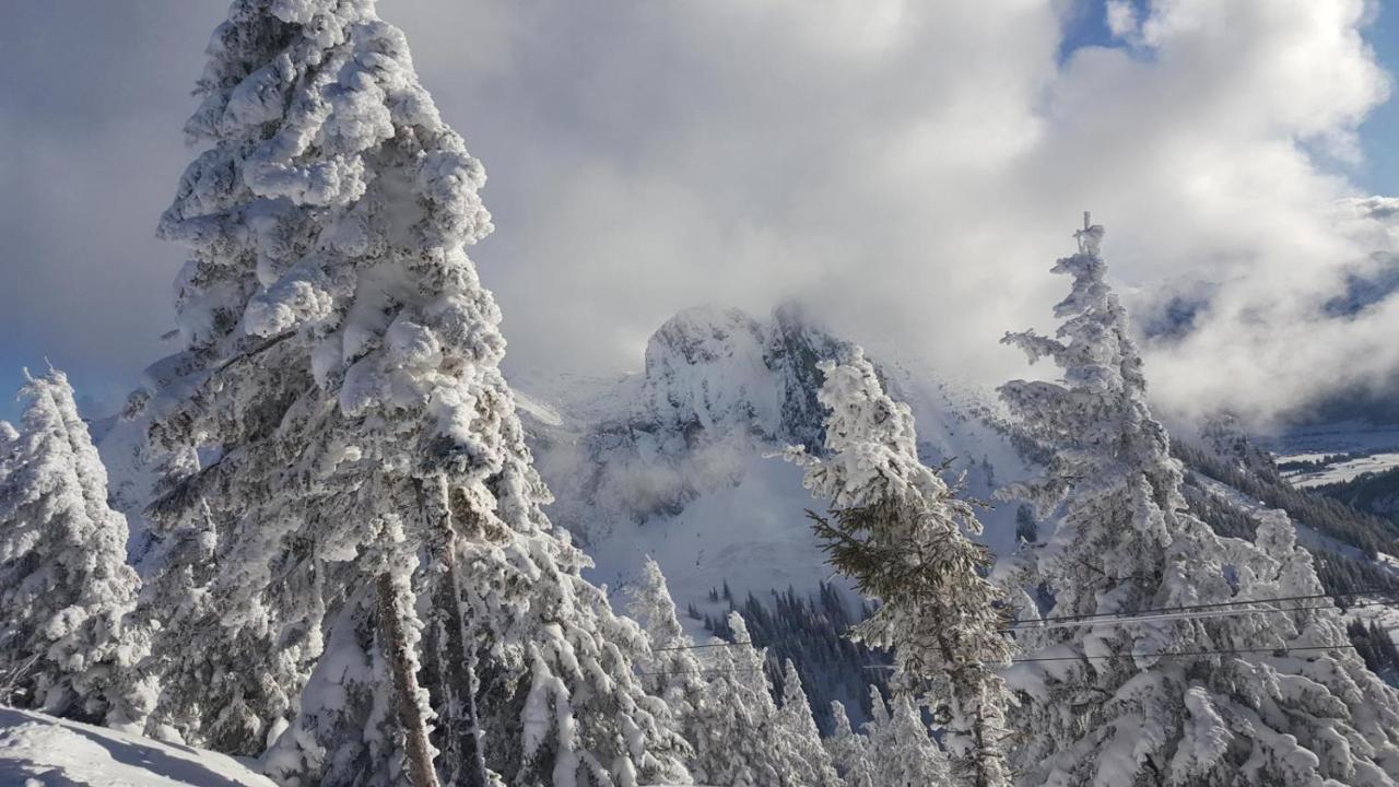 Alpenchalet Vils Tirol Bagian luar foto